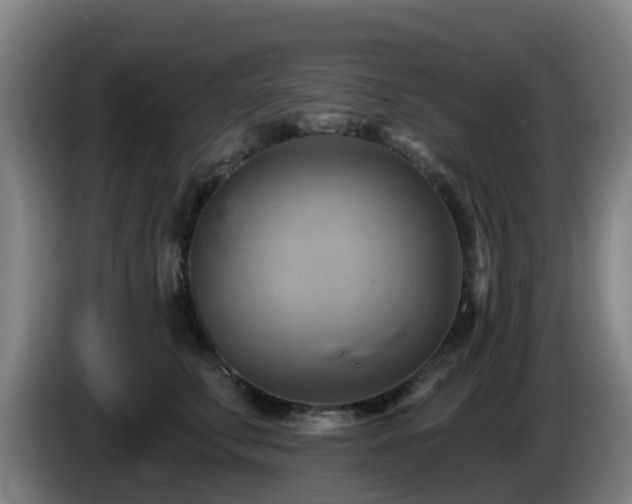 X0000086020711200703301032