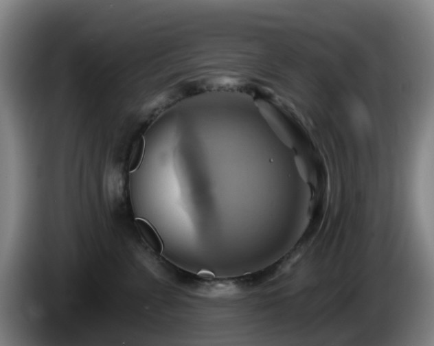 X0000086020715200703301032