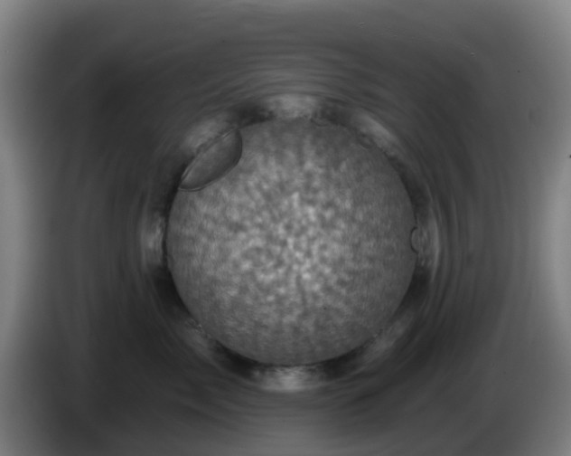 X0000086020717200703301032