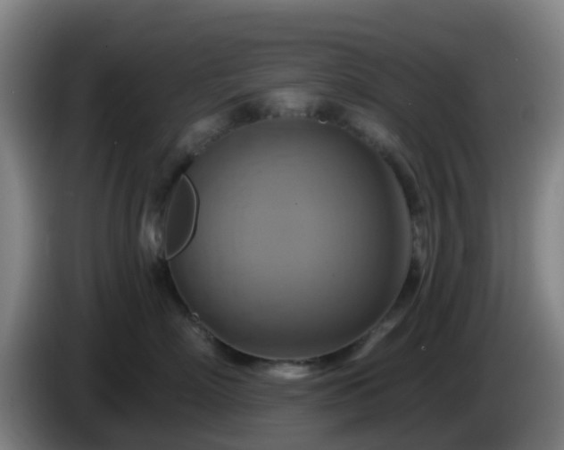 X0000086020718200703301032