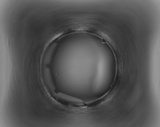X0000086020721200703301031