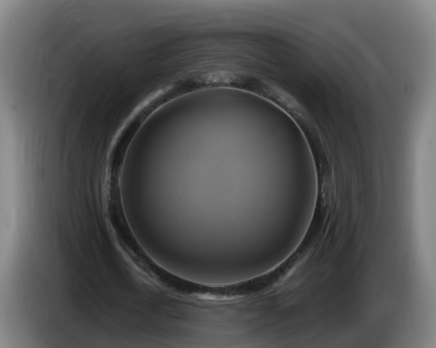 X0000086020722200703301031