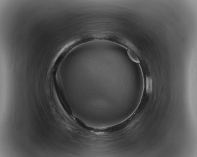 X0000086020723200703301031
