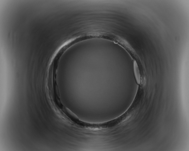 X0000086020724200703301031