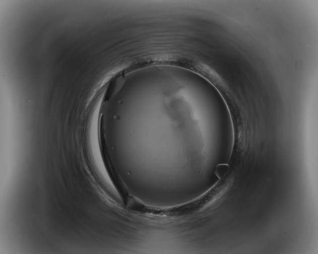 X0000086020725200703301031
