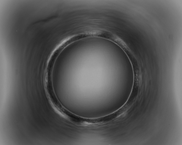 X0000086020726200703301032