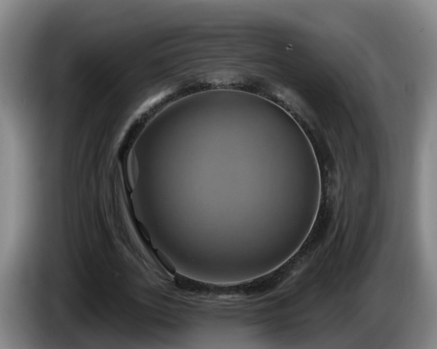 X0000086020727200703301032