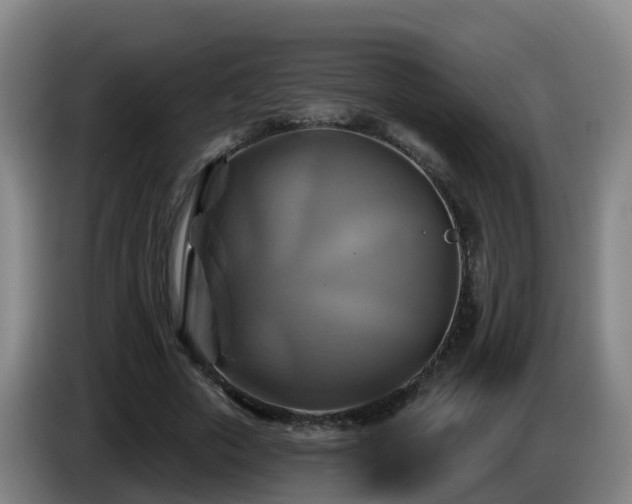 X0000086020729200703301032