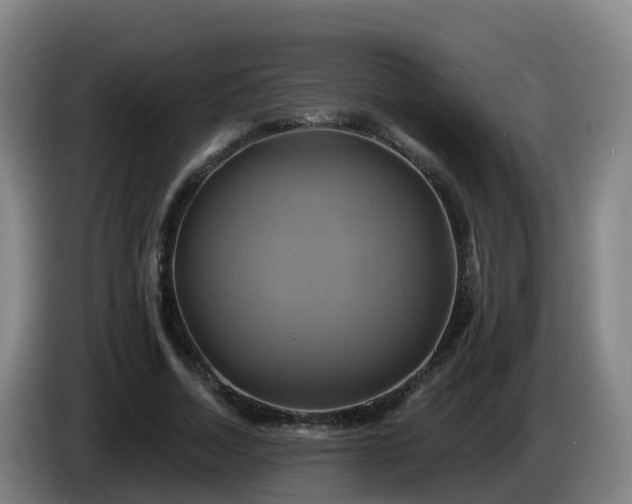 X0000086020730200703301032