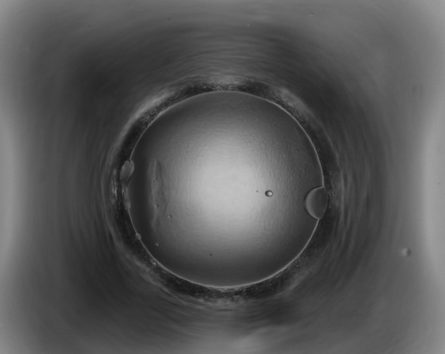 X0000086020731200703301032