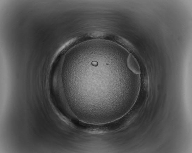 X0000086020732200703301032