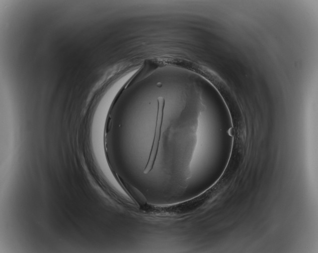 X0000086020734200703301032