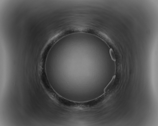 X0000086020736200703301032