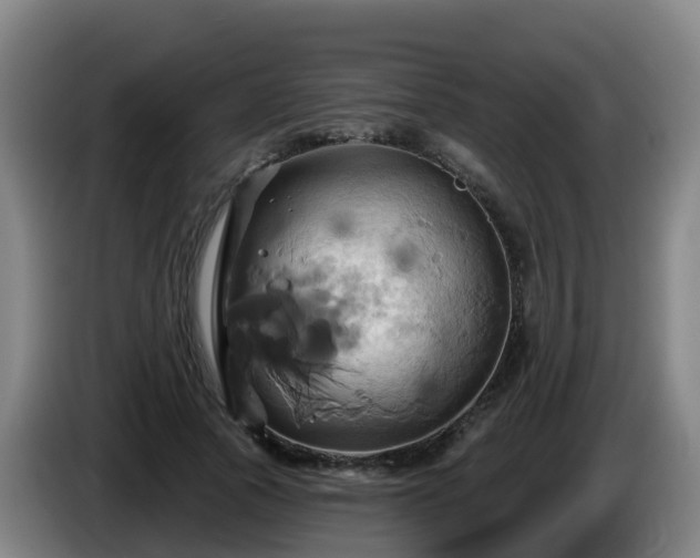 X0000086020737200703301032