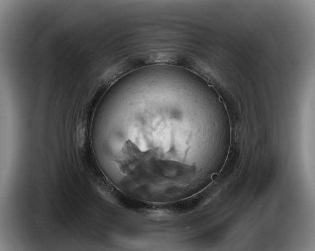 X0000086020741200703301032