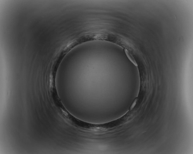 X0000086020748200703301032