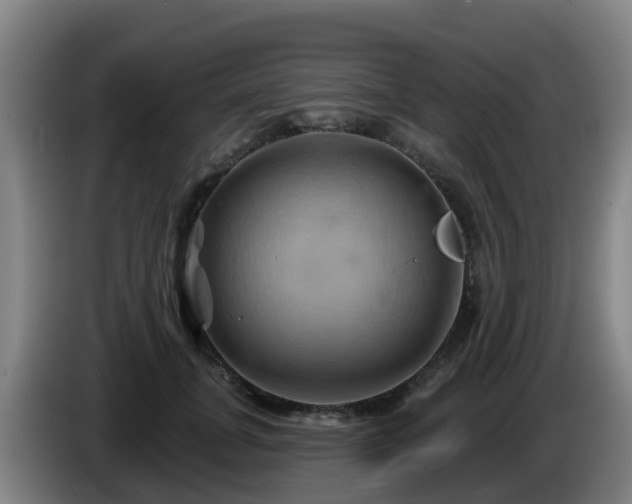 X0000086020751200703301032