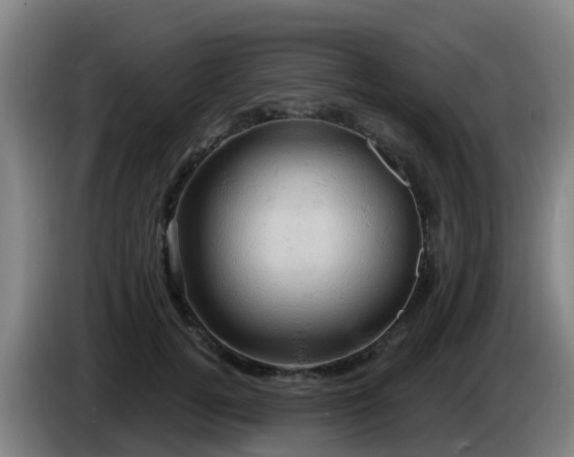 X0000086020752200703301032