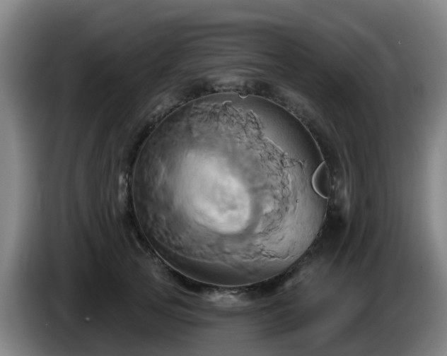 X0000086020753200703301032