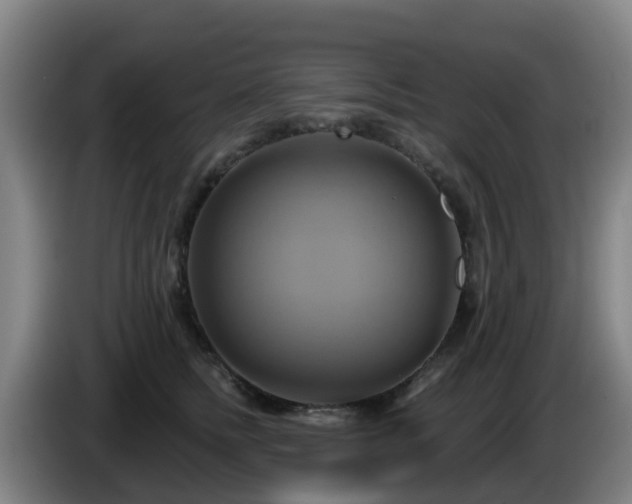 X0000086020758200703301032