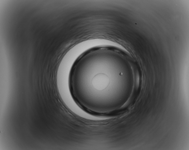 X0000086020762200703301032