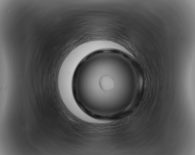 X0000086020764200703301032