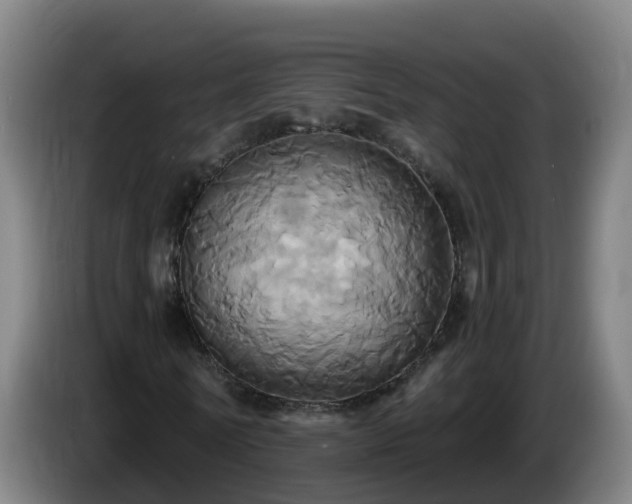 X0000086020770200703301031