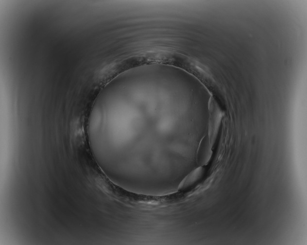 X0000086020771200703301031