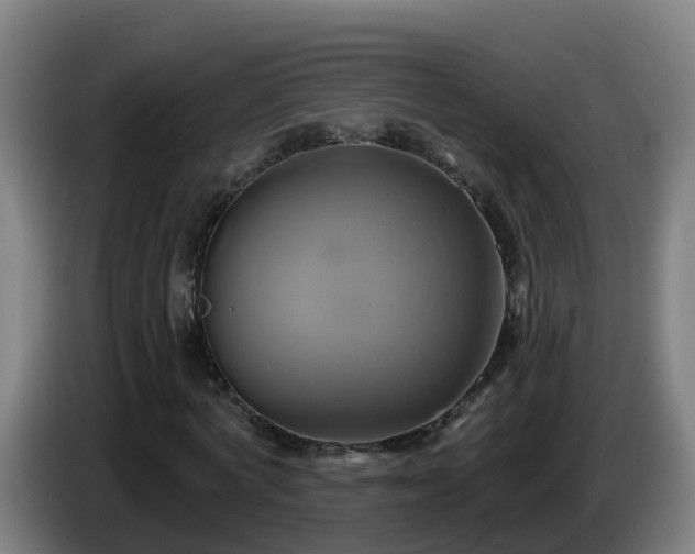 X0000086020772200703301031