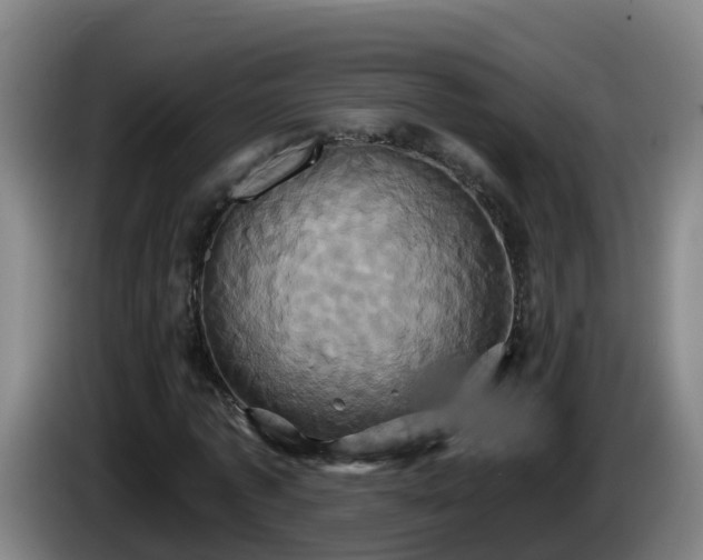 X0000086020773200703301031