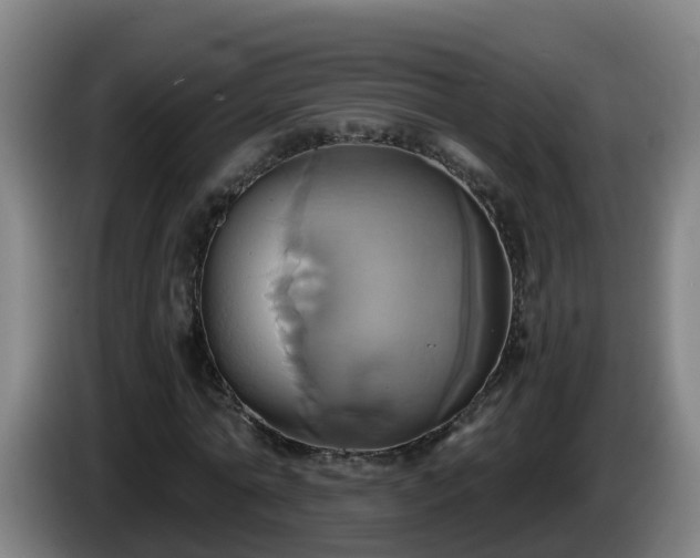 X0000086020774200703301031