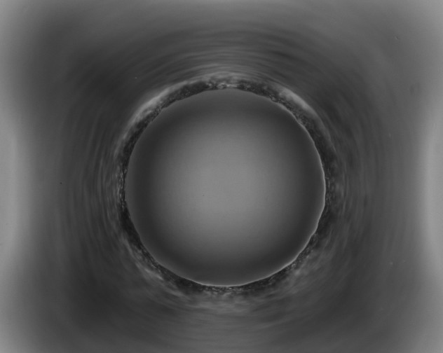 X0000086020775200703301031