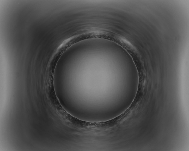X0000086020776200703301031