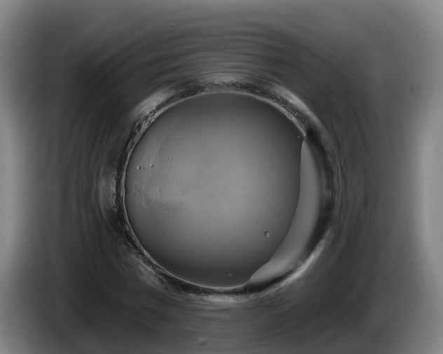 X0000086020777200703301031
