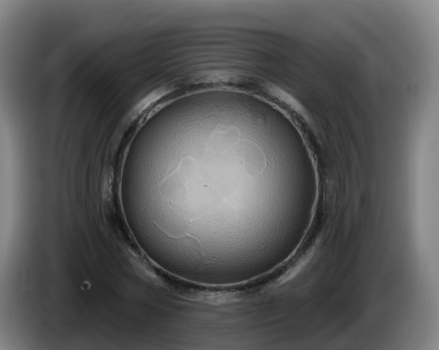 X0000086020778200703301031