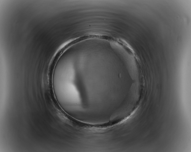 X0000086020779200703301031