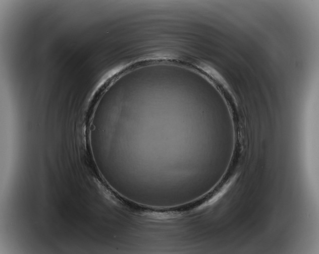 X0000086020781200703301031