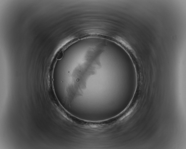 X0000086020782200703301031