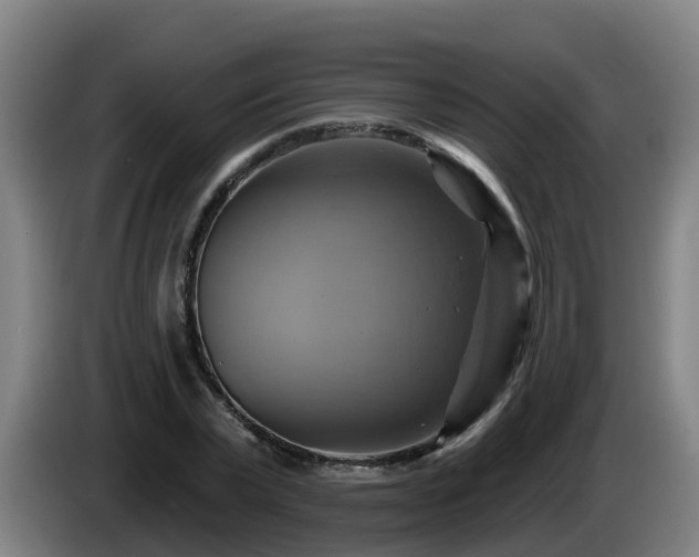 X0000086020783200703301031