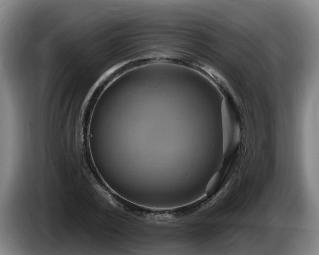 X0000086020784200703301031