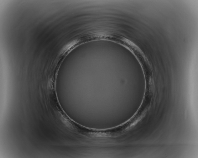 X0000086020785200703301031