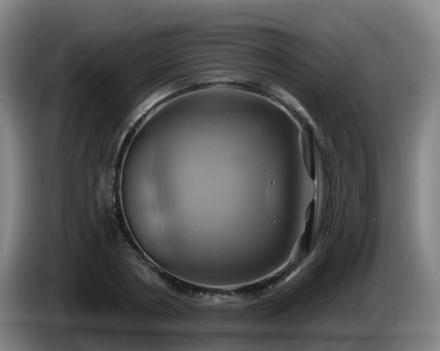 X0000086020786200703301031