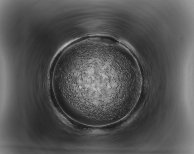X0000086020787200703301031