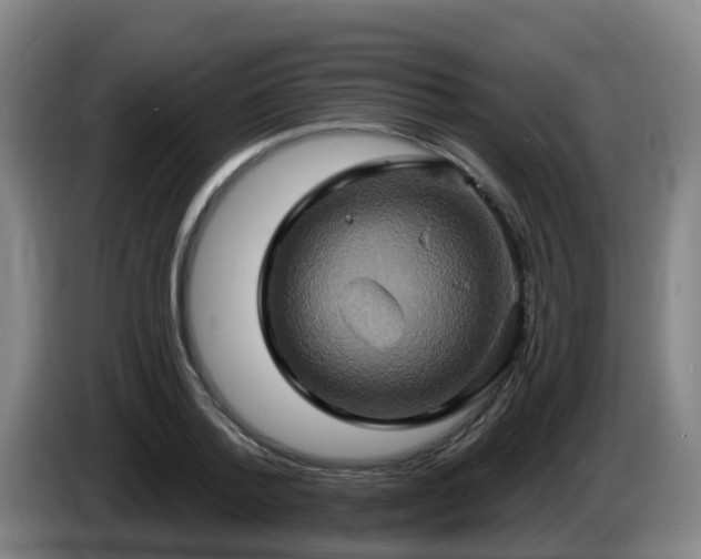 X0000086020788200703301031