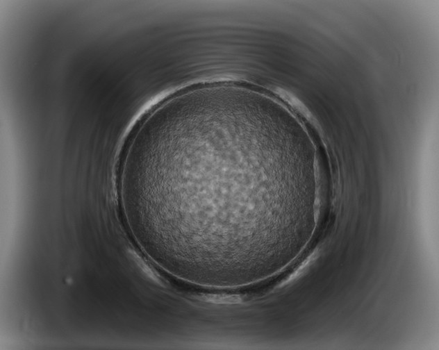 X0000086020789200703301031