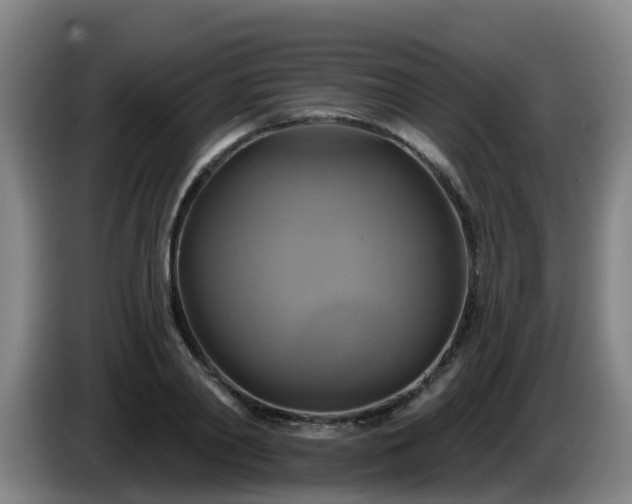 X0000086020790200703301031
