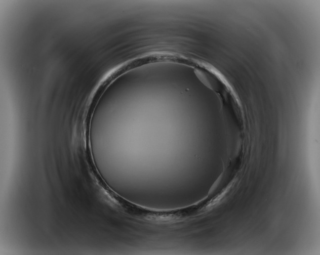 X0000086020791200703301031