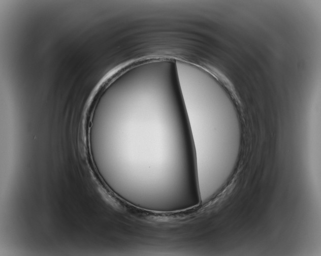 X0000086020792200703301031