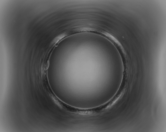 X0000086020793200703301031