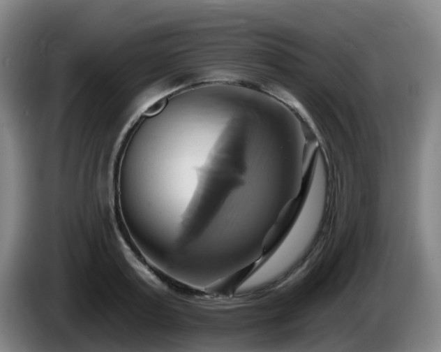 X0000086020795200703301031